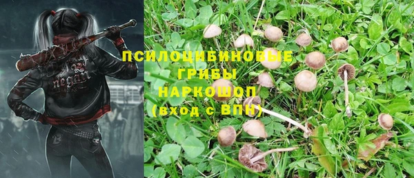 ешки Алексеевка