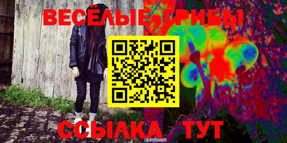 Псилоцибиновые грибы Cubensis Белгород